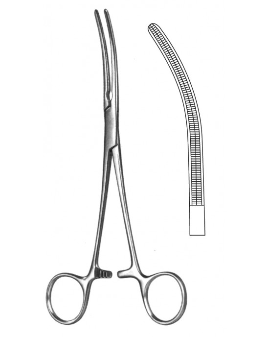 HD  19-5580-20