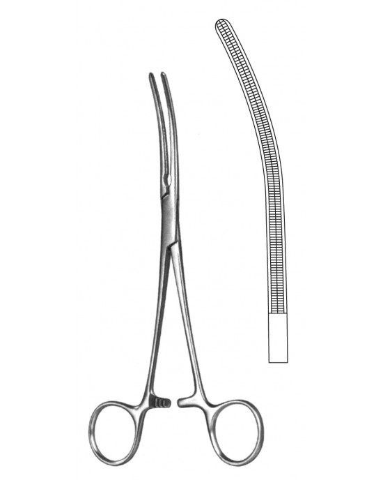 HD  19-5580-26