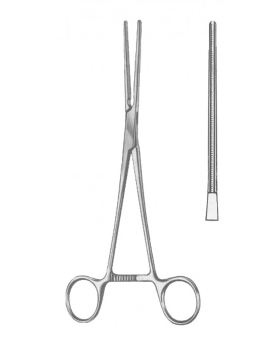 HD  19-5584-17