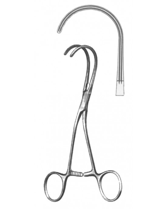 HD  19-5588-16
