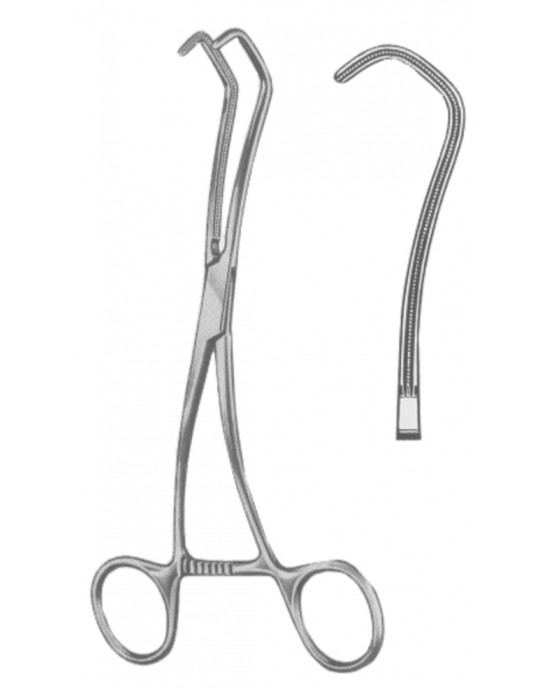 HD  19-5589-16