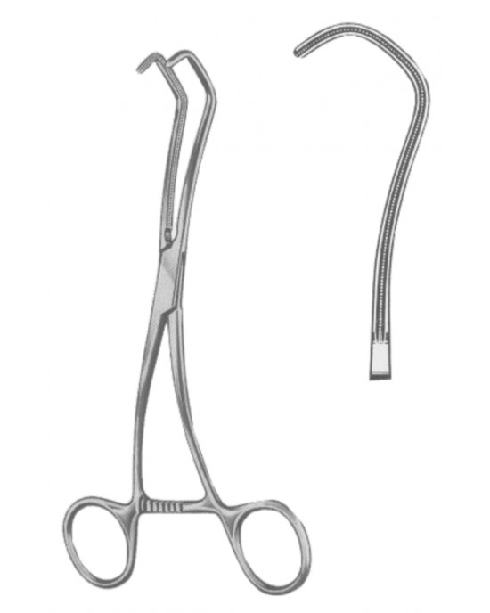 HD  19-5589-17