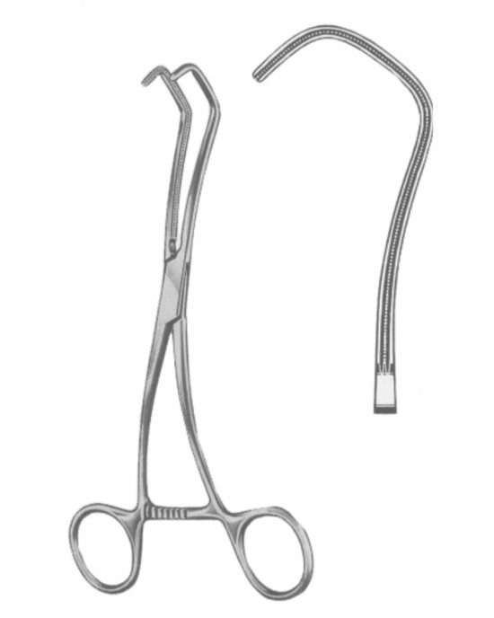 HD  19-5589-18