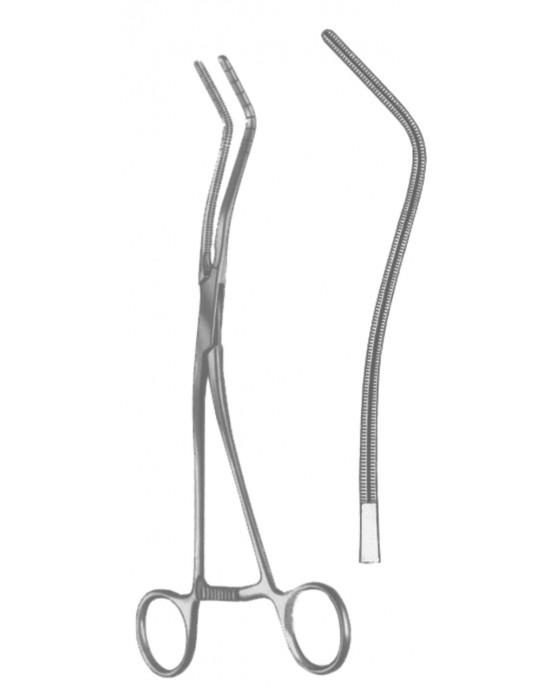 HD  19-5595-20