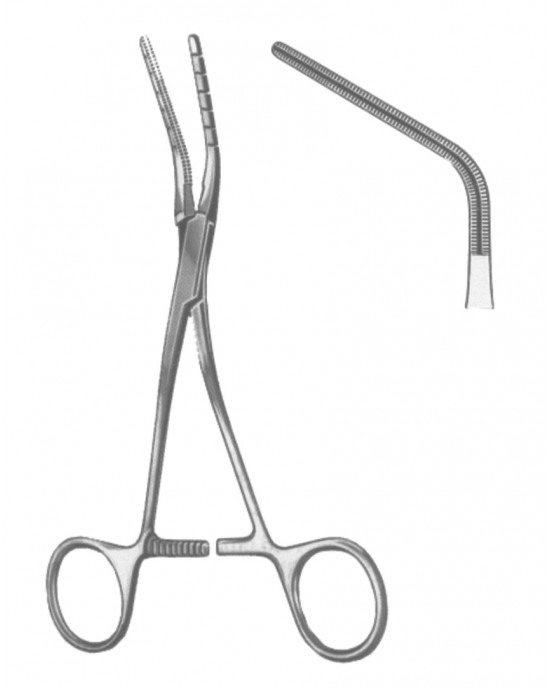 HD  19-5596-02