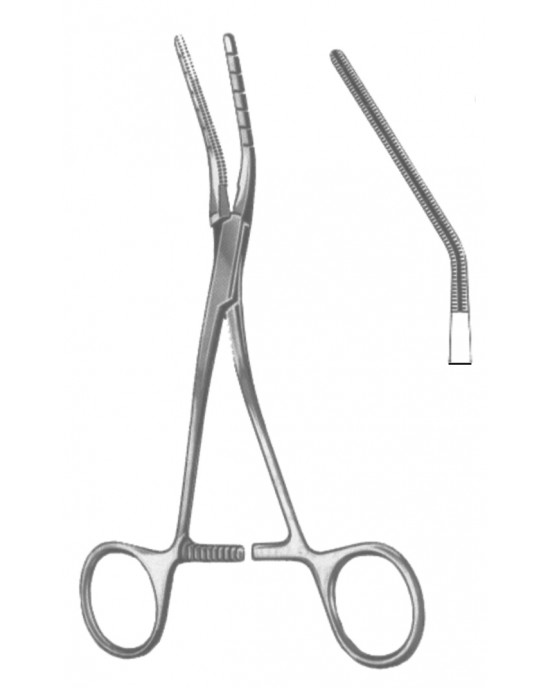 HD  19-5596-03