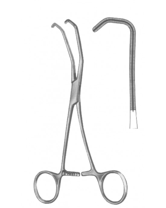 HD  19-5599-17