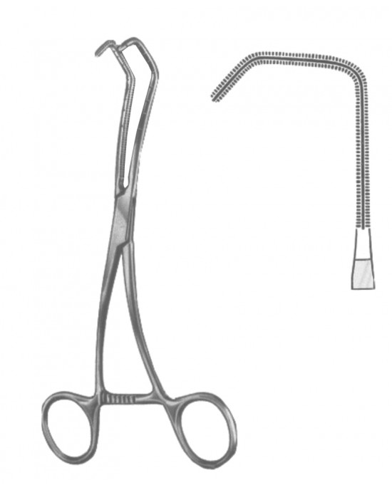 HD  19-5600-01