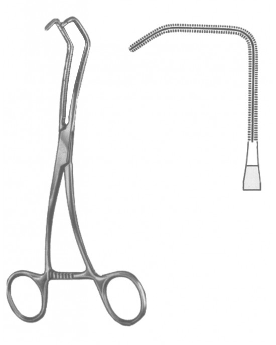 HD  19-5600-02