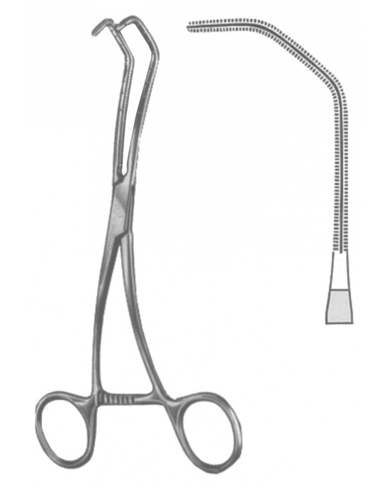 HD  19-5600-03