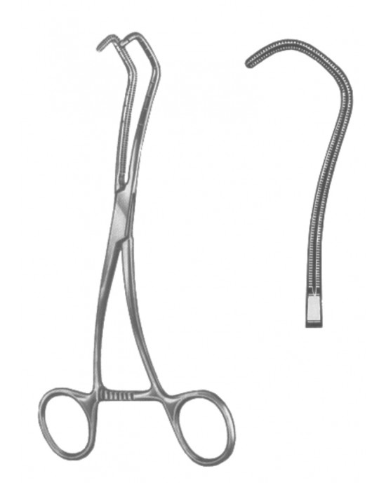 HD  19-5603-17