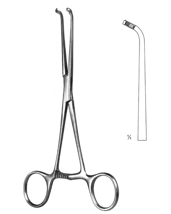 HD  19-5755-18
