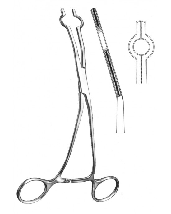 HD  19-5765-01