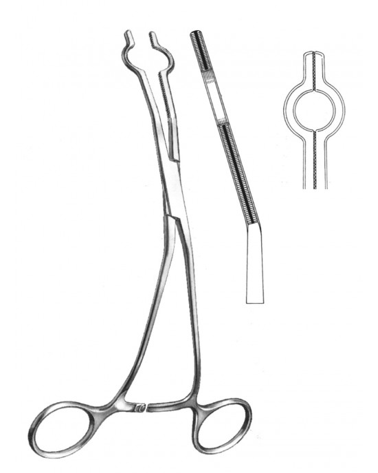 HD  19-5765-03