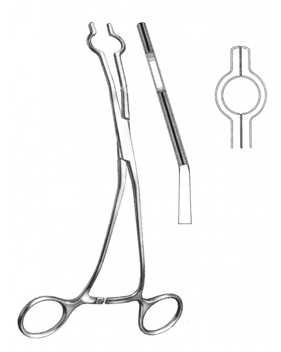 HD  19-5765-06