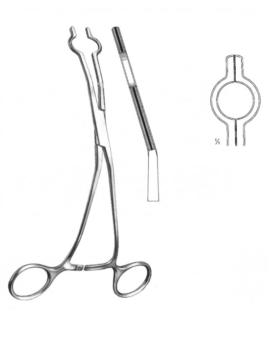 HD  19-5765-08