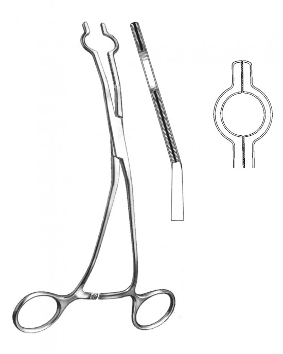 HD  19-5765-09