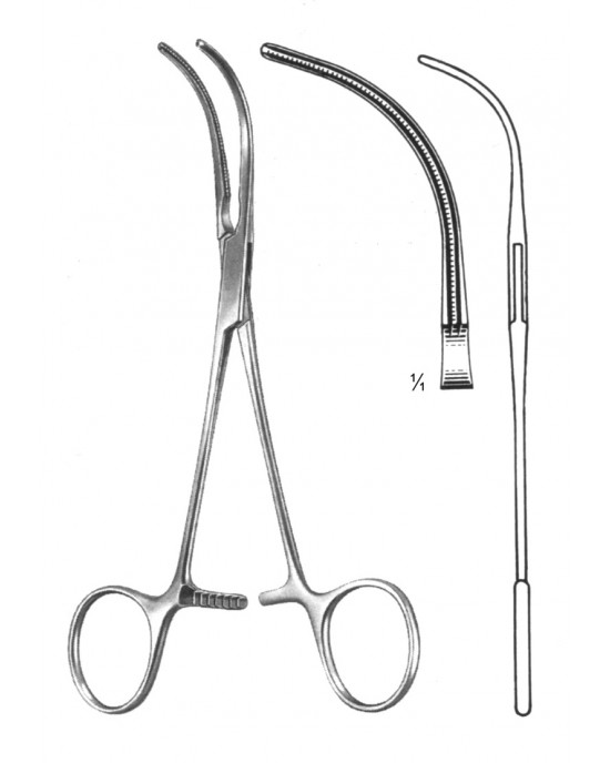 HD  19-5772-16
