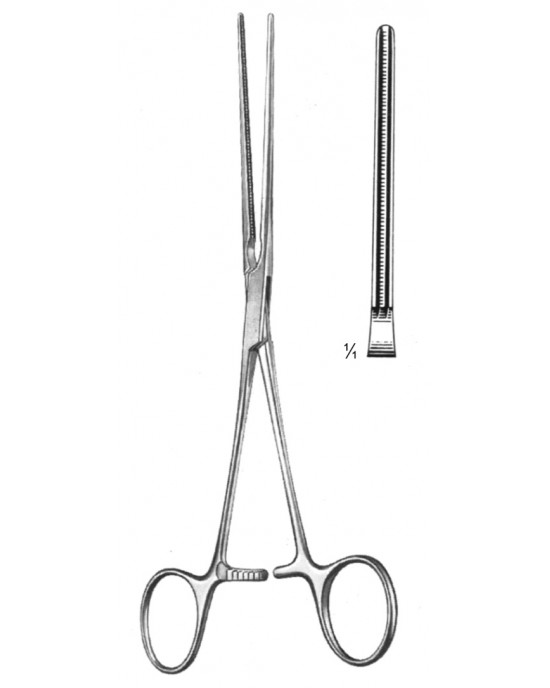 HD  19-5778-15