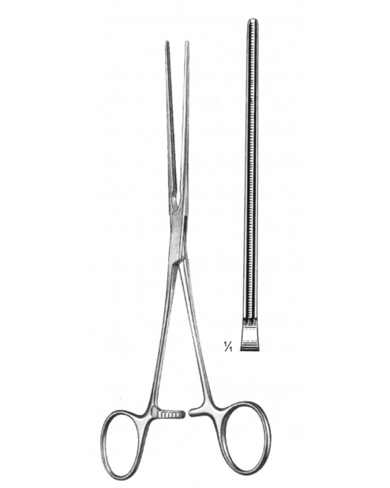 HD  19-5778-18