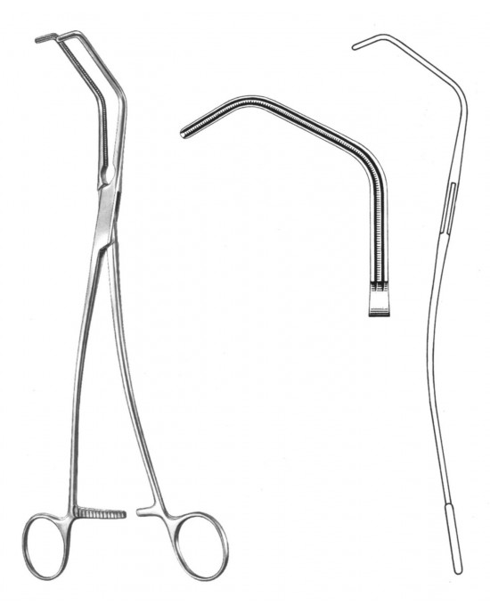 HD  19-5794-02