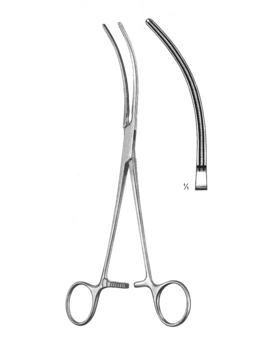 HD  19-5804-21