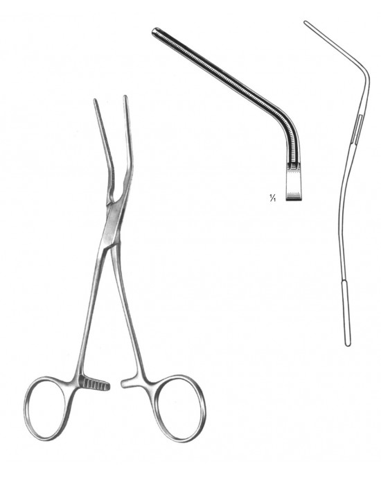 HD  19-5807-21