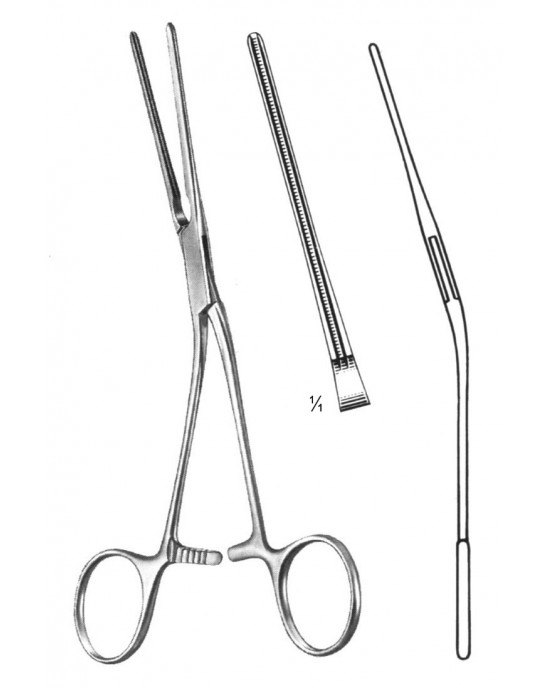 HD  19-5812-16