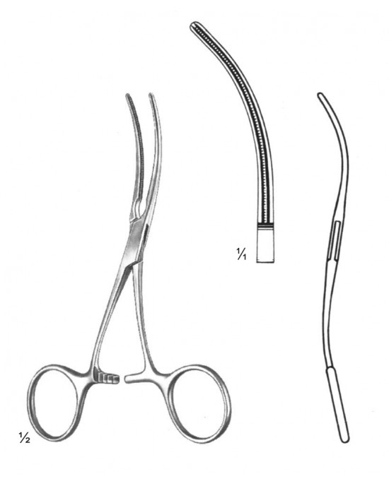 HD  19-5816-12