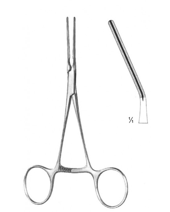 HD  19-5819-14
