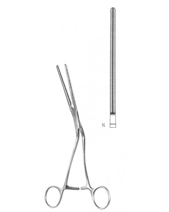HD  19-5823-22