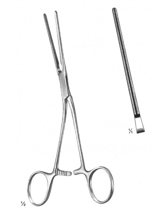 HD  19-5831-17
