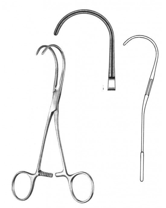 HD  19-5834-16