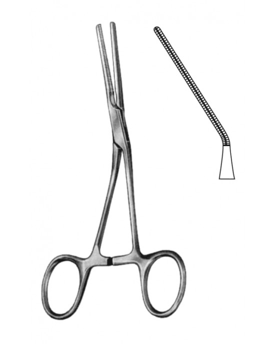 HD  19-5843-13