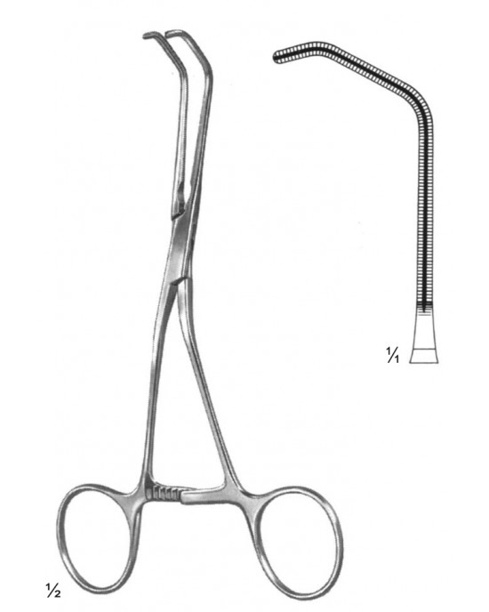 HD  19-5847-15