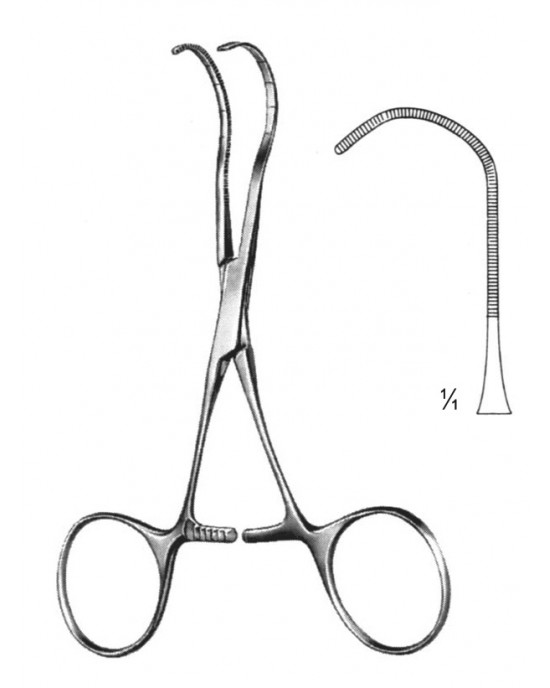 HD  19-5849-04