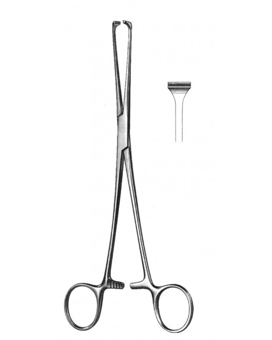 HD  19-5850-20
