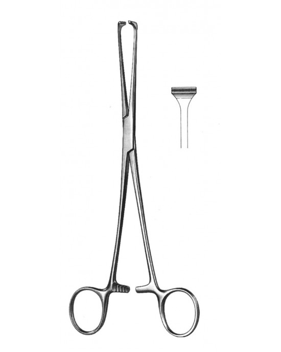 HD  19-5850-25