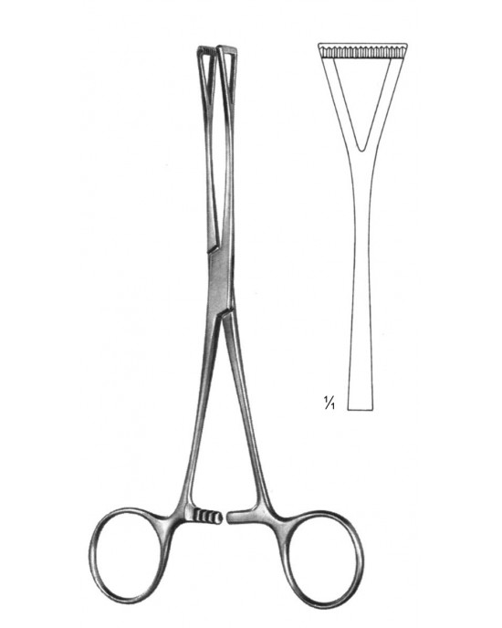 HD  19-5851-23
