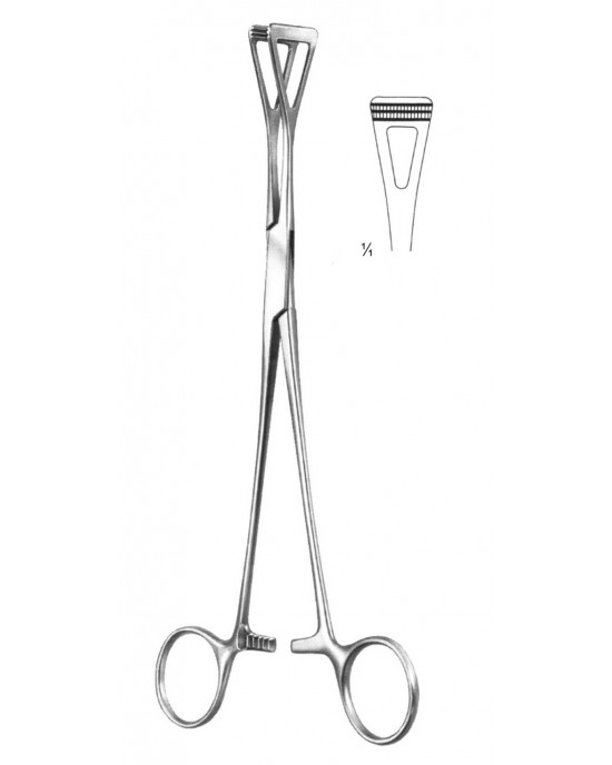 HD  19-5854-18