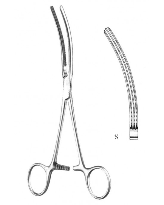HD  19-5856-13