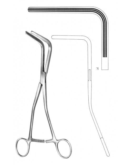 HD  19-5858-25