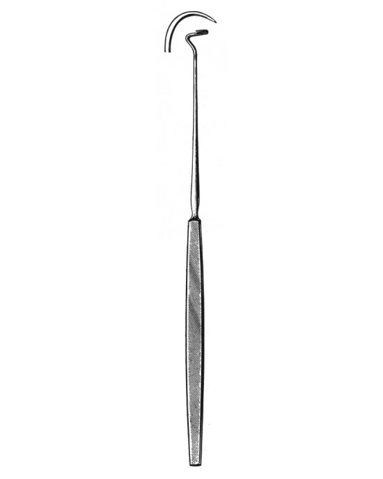 HD  20-6168-02