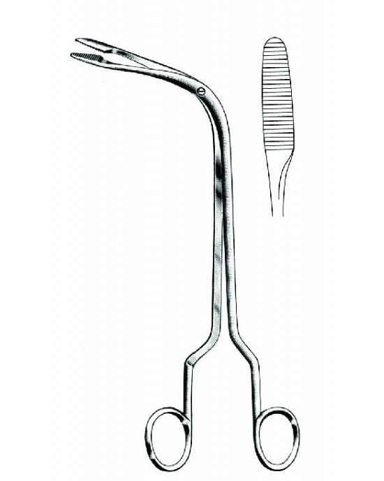 HD  20-6247-19
