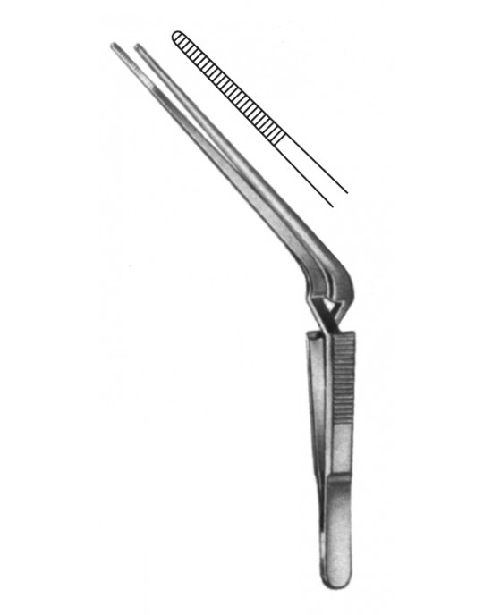 HD  21-6339-13