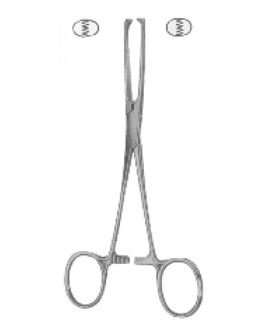 HD  24-7101-25
