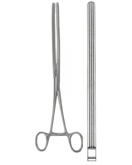 HD  24-7136-25