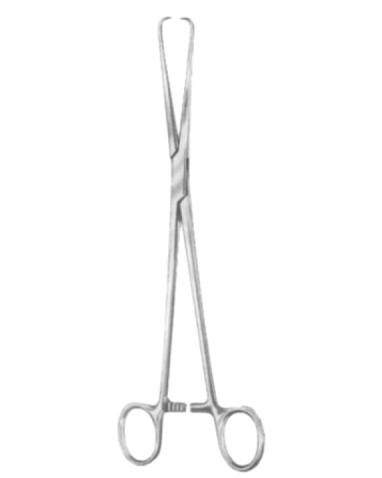 HD  29-8161-25