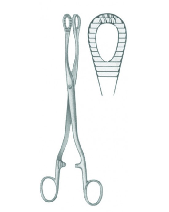 HD  29-8190-25