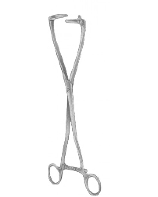 HD  29-8196-26
